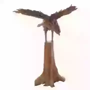 Teak Driftwood Eagle